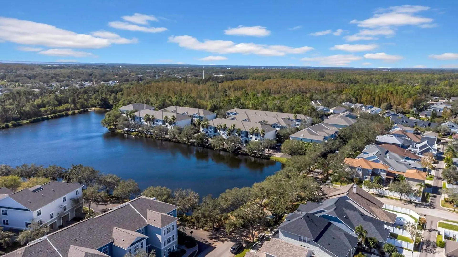 Stylish 2Br2Ba Minutes To Airport & Westchase #6 Apartment Tampa